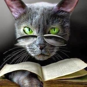 Meet your Posher, Barbara